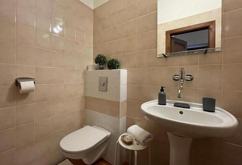 פנסיון Penzion Landauer