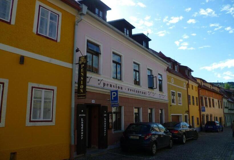 פנסיון Penzion Landauer