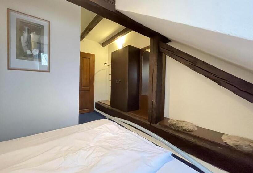 פנסיון Penzion Landauer