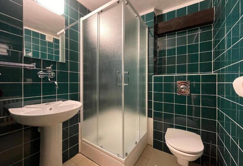 פנסיון Penzion Landauer