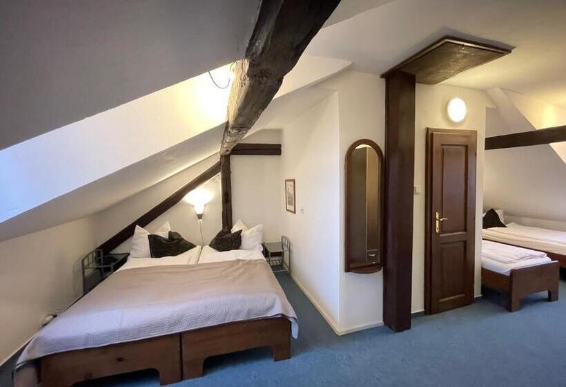 פנסיון Penzion Landauer