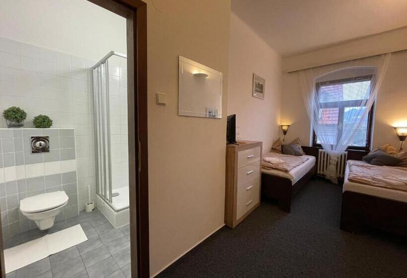 פנסיון Penzion Landauer