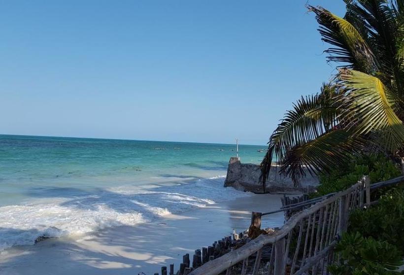 مبيت وإفطار Villa Mina Beachhouse