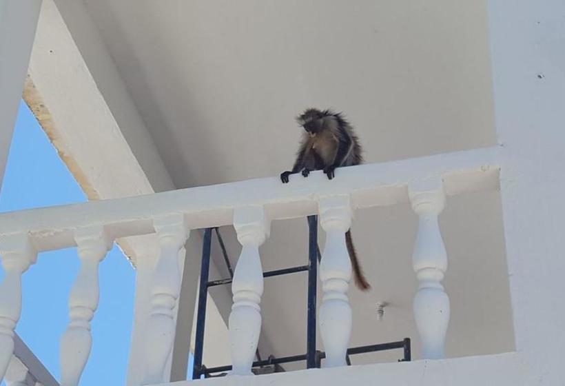 مبيت وإفطار Villa Mina Beachhouse