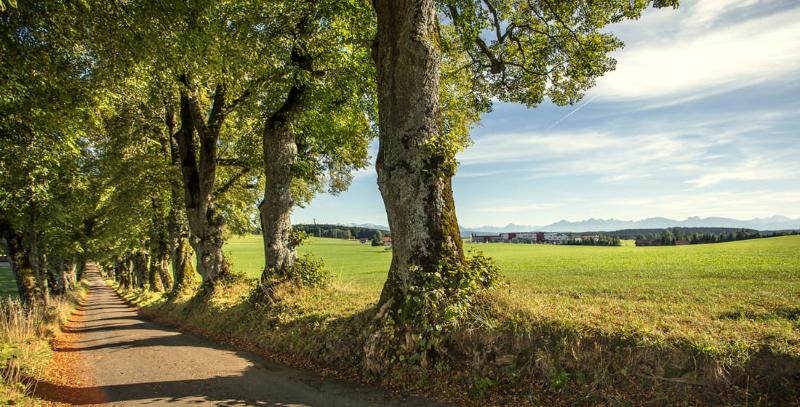 ホテル Das Weitblick Allgäu