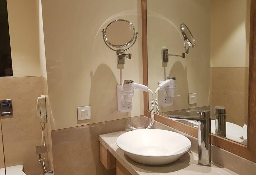 Отель Singhania Sarovar Portico