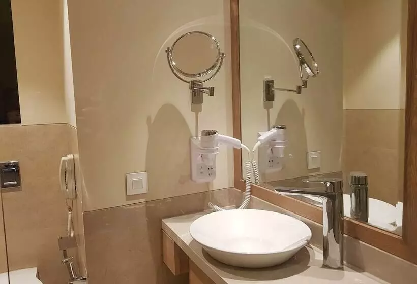 Hotelli Singhania Sarovar Portico