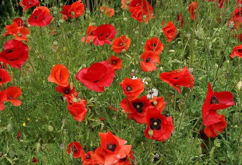 호텔 Waastwinj   500m Vom Strand