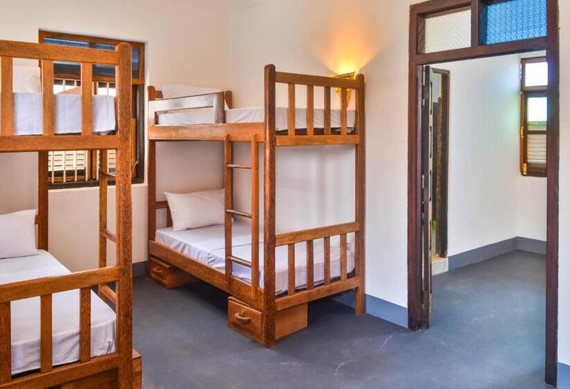 فندق صغير Zlife Stone Town