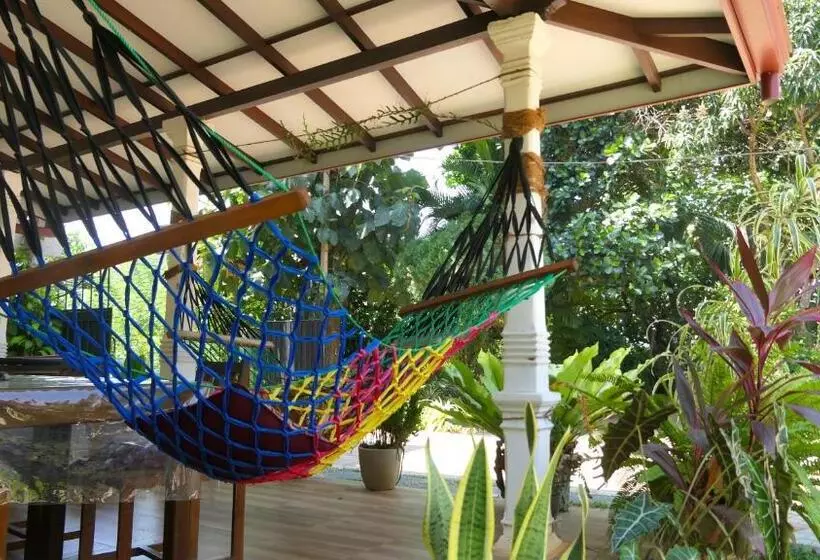 تختخواب و صبحانه Mount Top