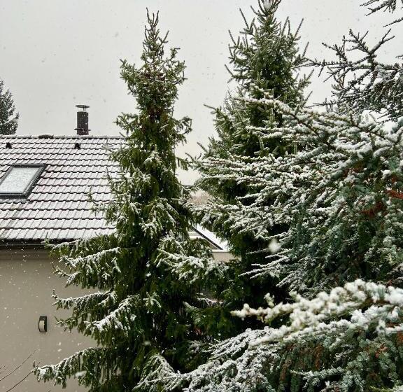 Grand Petit Hotel Ex Shato Gesson