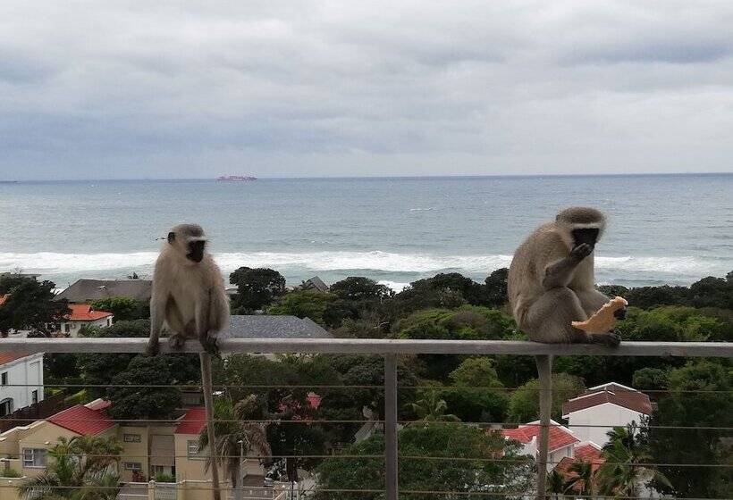 فندق Ocean Vista Boutique Guest House