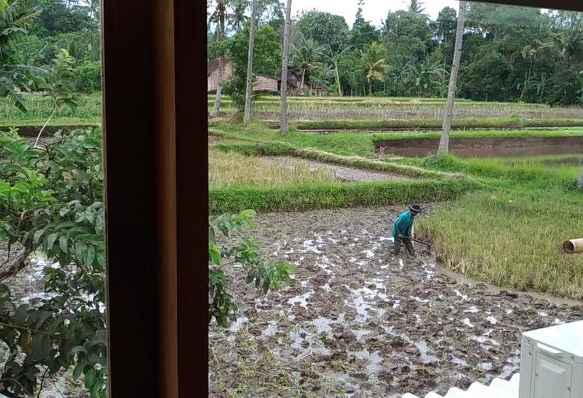 منتجع Capital O 1065 Sahid Osing Kemiren