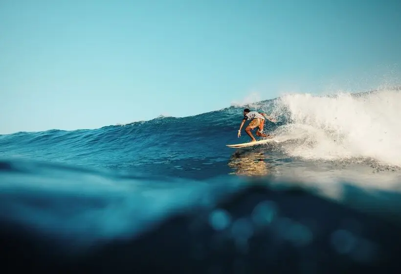 پانسیون Bibee Surf