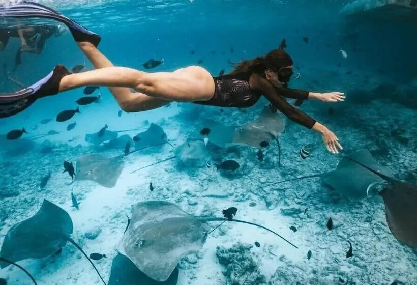 پانسیون Bibee Surf