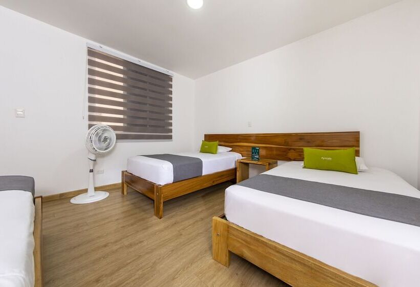 هتل Ayenda Marckia 1901