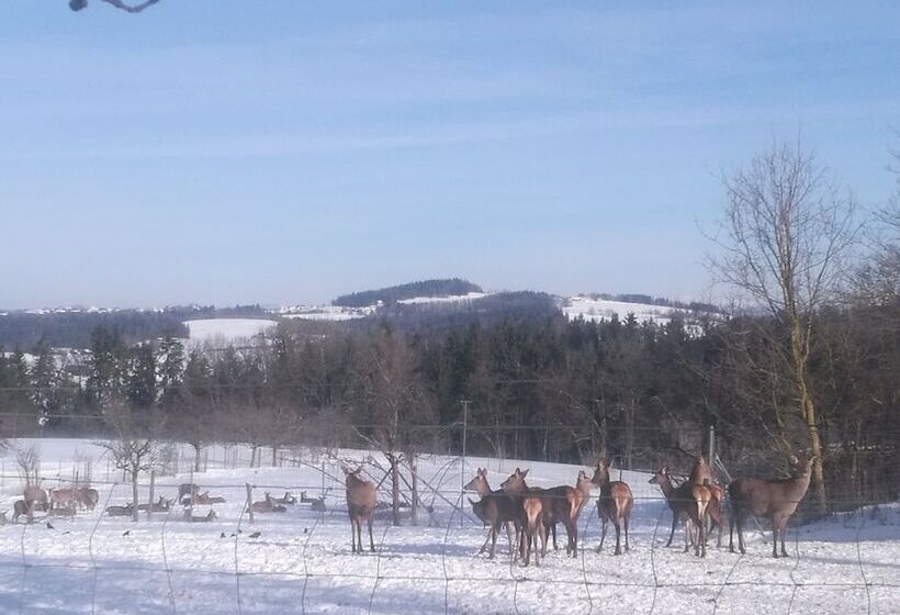 Hotel Schätzlhof Ohg