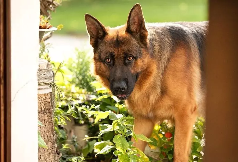 Hotelli Schätzlhof Ohg