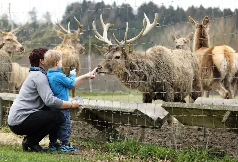 Hotelli Schätzlhof Ohg