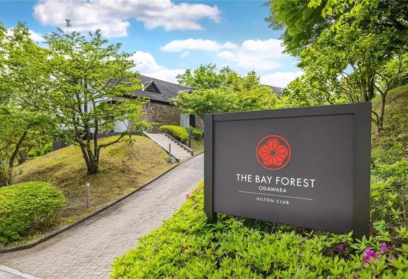 ホテル The Bay Forest Odawara by Hilton Club