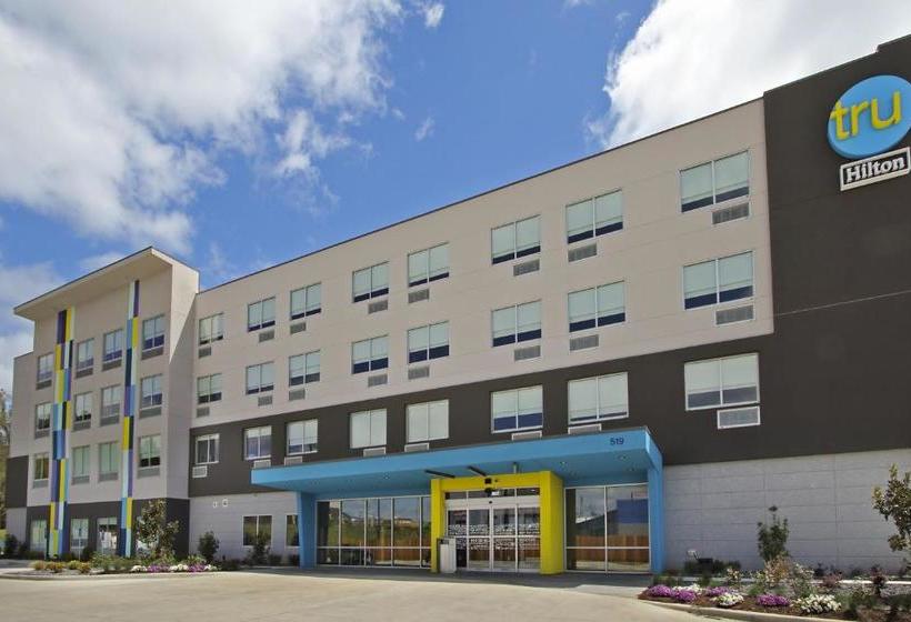 ホテル Tru By Hilton Meridian