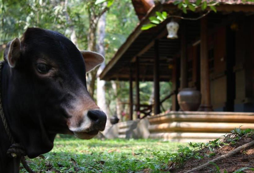 منتجع Palathra Heritage