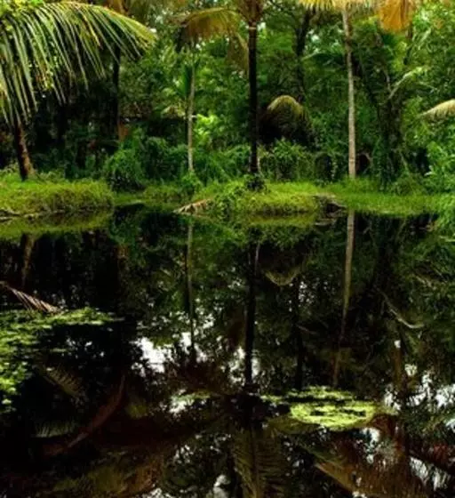 Lomakeskus Palathra Heritage