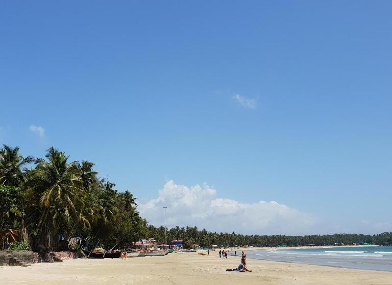 Resort Palm Forest Palolem