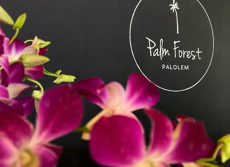 Resort Palm Forest Palolem