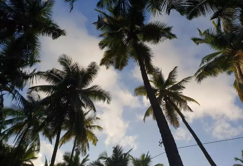 Resort Palm Forest Palolem