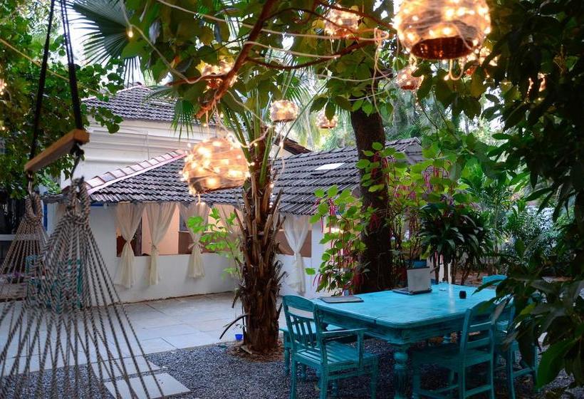 هاستل Woke Arpora