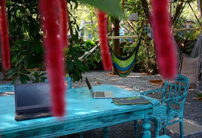 هاستل Woke Arpora