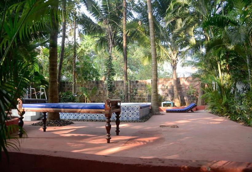 هاستل Woke Arpora