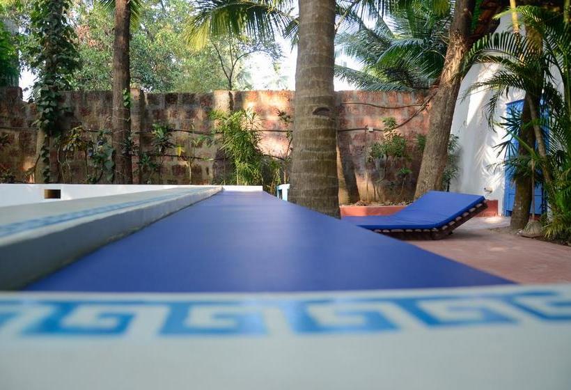 هاستل Woke Arpora