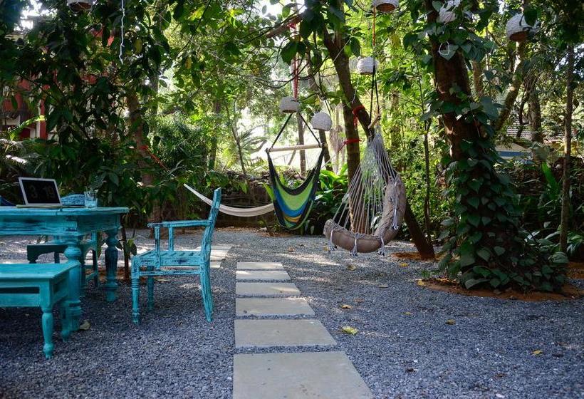 هاستل Woke Arpora