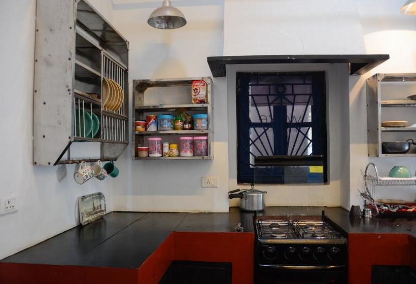 هاستل Woke Arpora