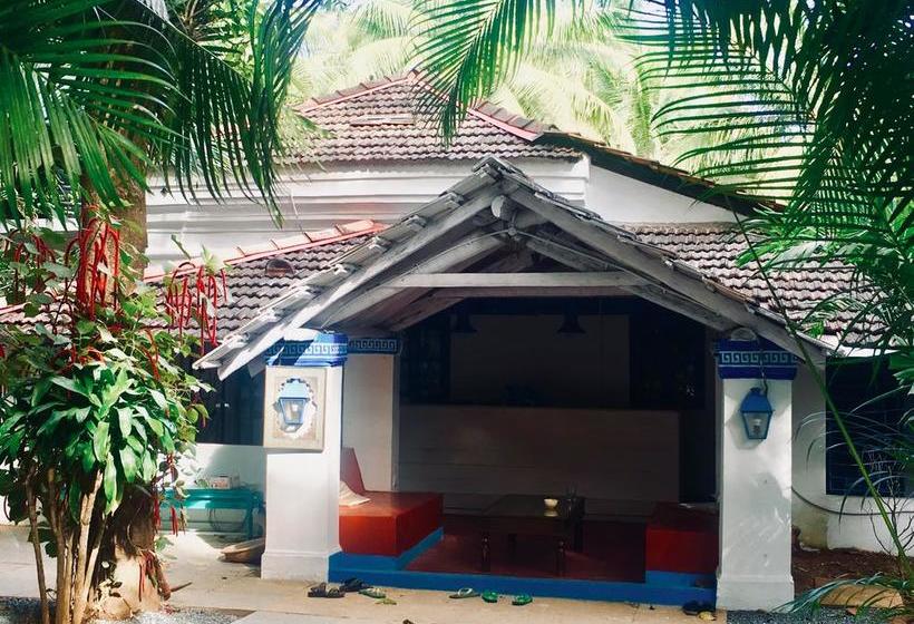 هاستل Woke Arpora