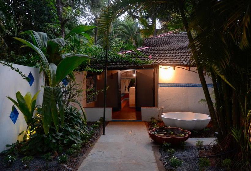 هاستل Woke Arpora