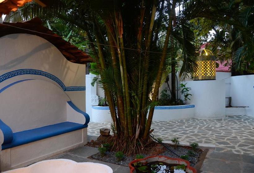 هاستل Woke Arpora