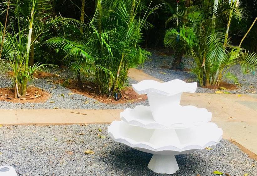 هاستل Woke Arpora