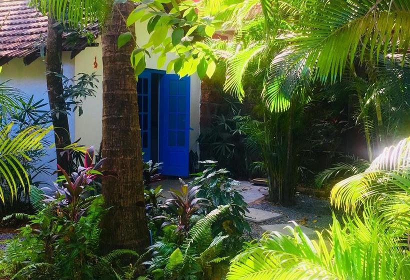 هاستل Woke Arpora