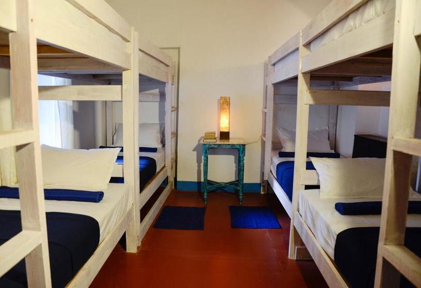 هاستل Woke Arpora