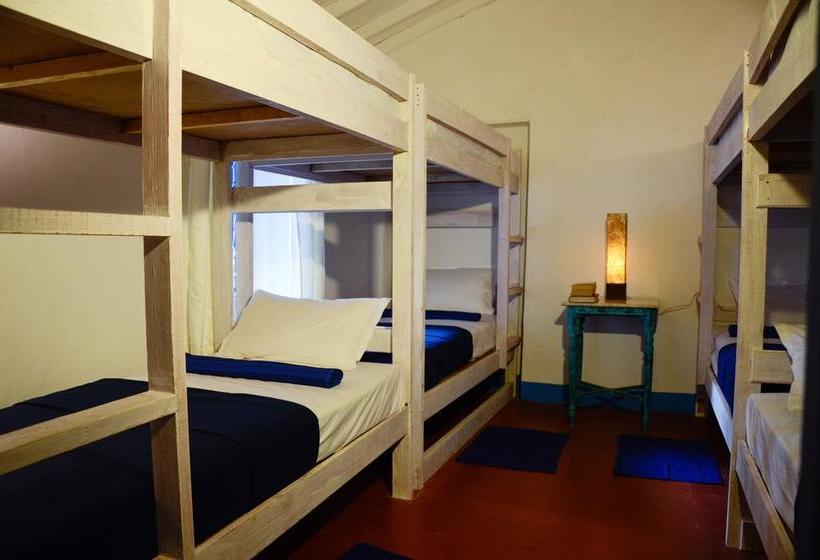 هاستل Woke Arpora