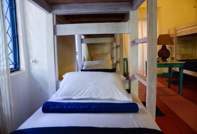 هاستل Woke Arpora