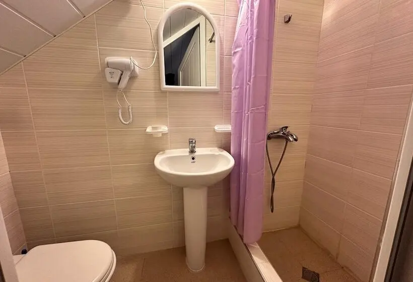 Family Hotel Parnas 2250