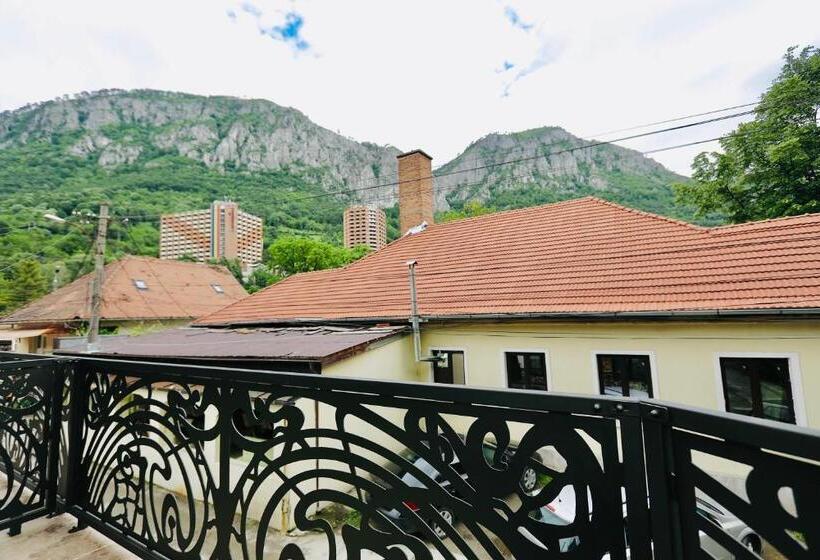 تختخواب و صبحانه Casa Golopența