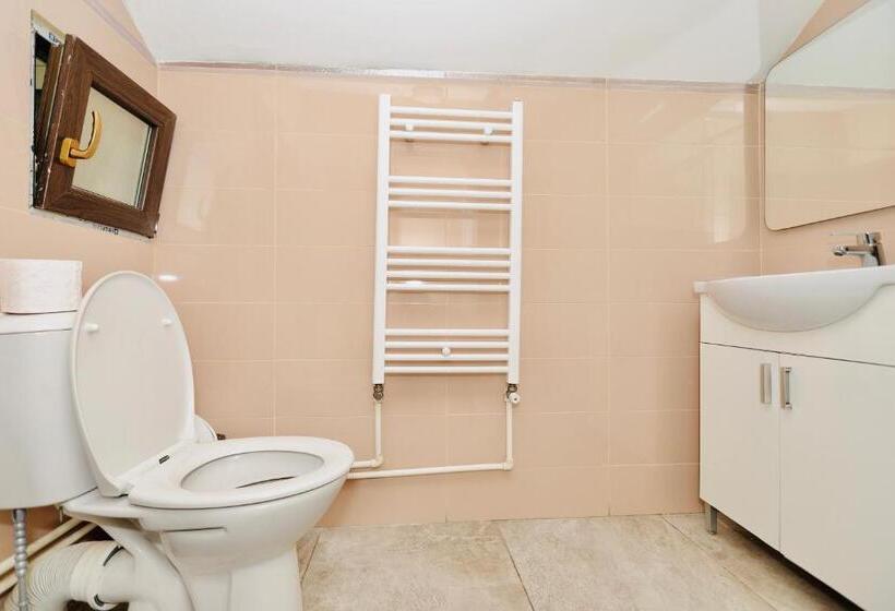 تختخواب و صبحانه Casa Golopența