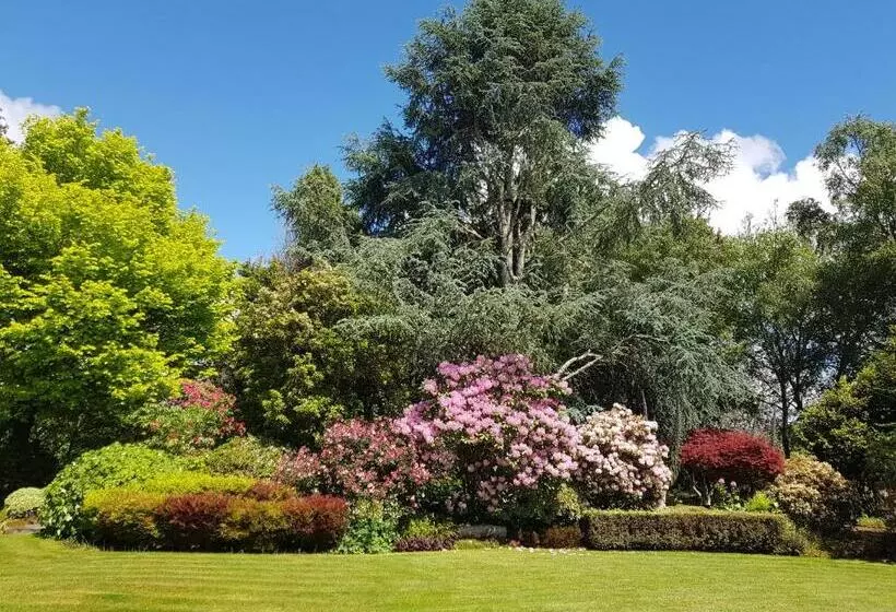 Aamiaismajoitus (B&B) Omaka Lodge