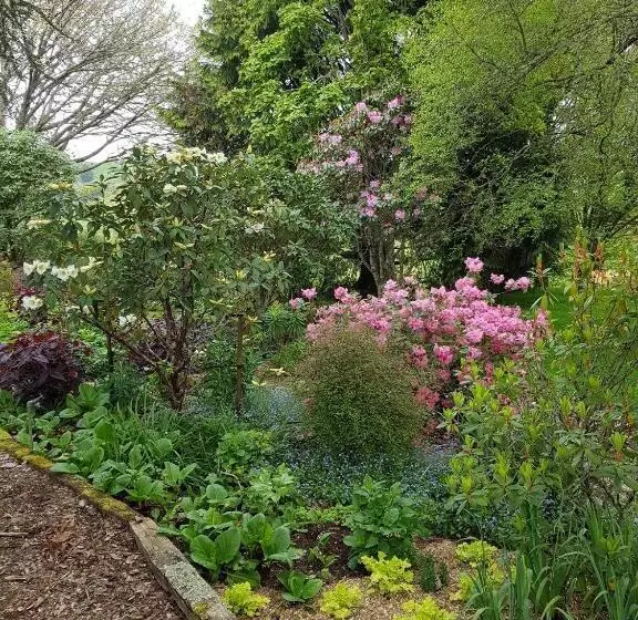 Aamiaismajoitus (B&B) Omaka Lodge