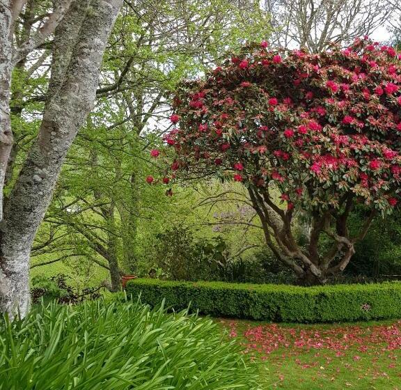 مبيت وإفطار Omaka Lodge